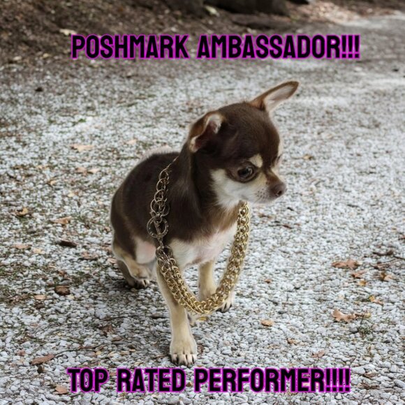 Top Rated Seller - Picture 1 of 1